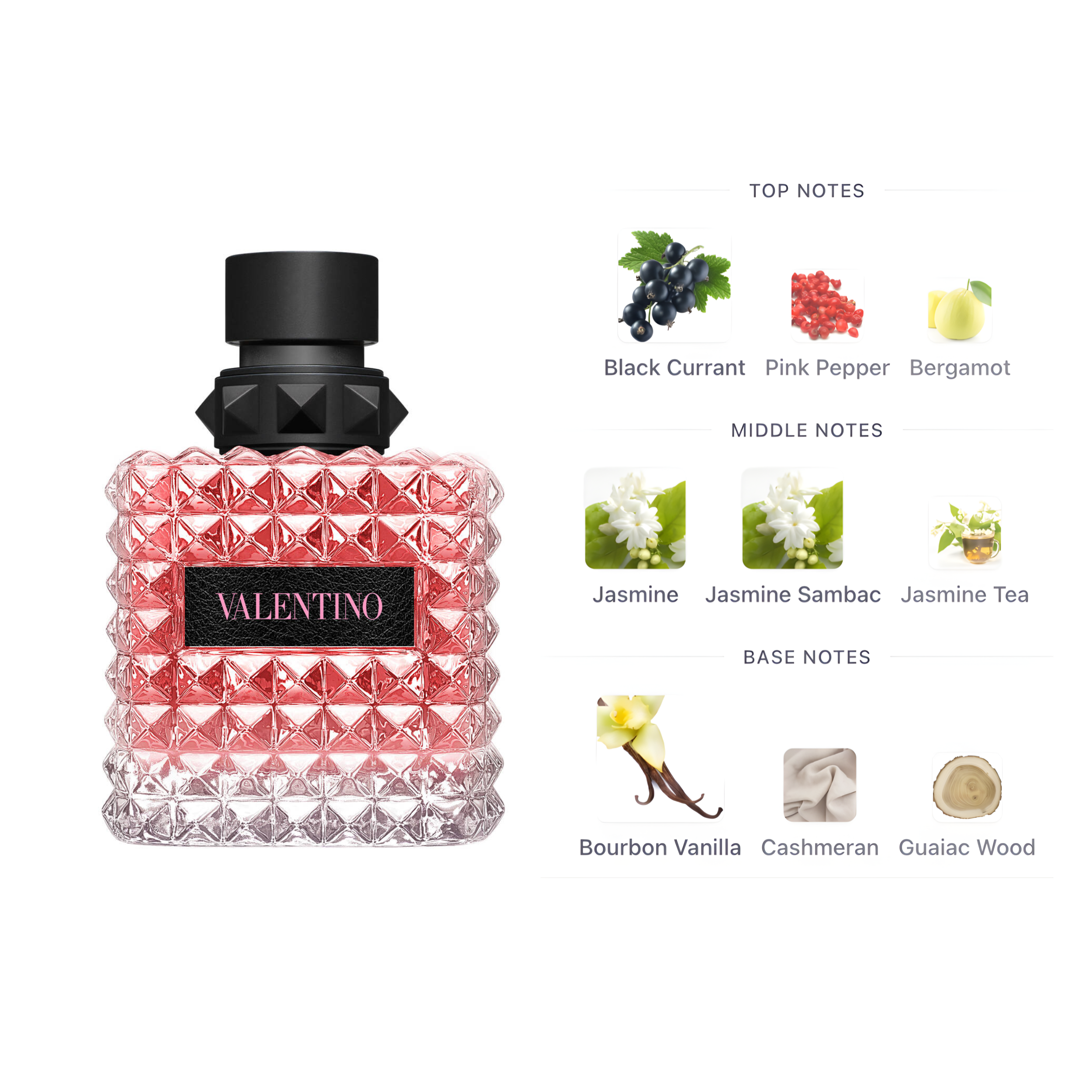 Valentino Donna Born In Roma