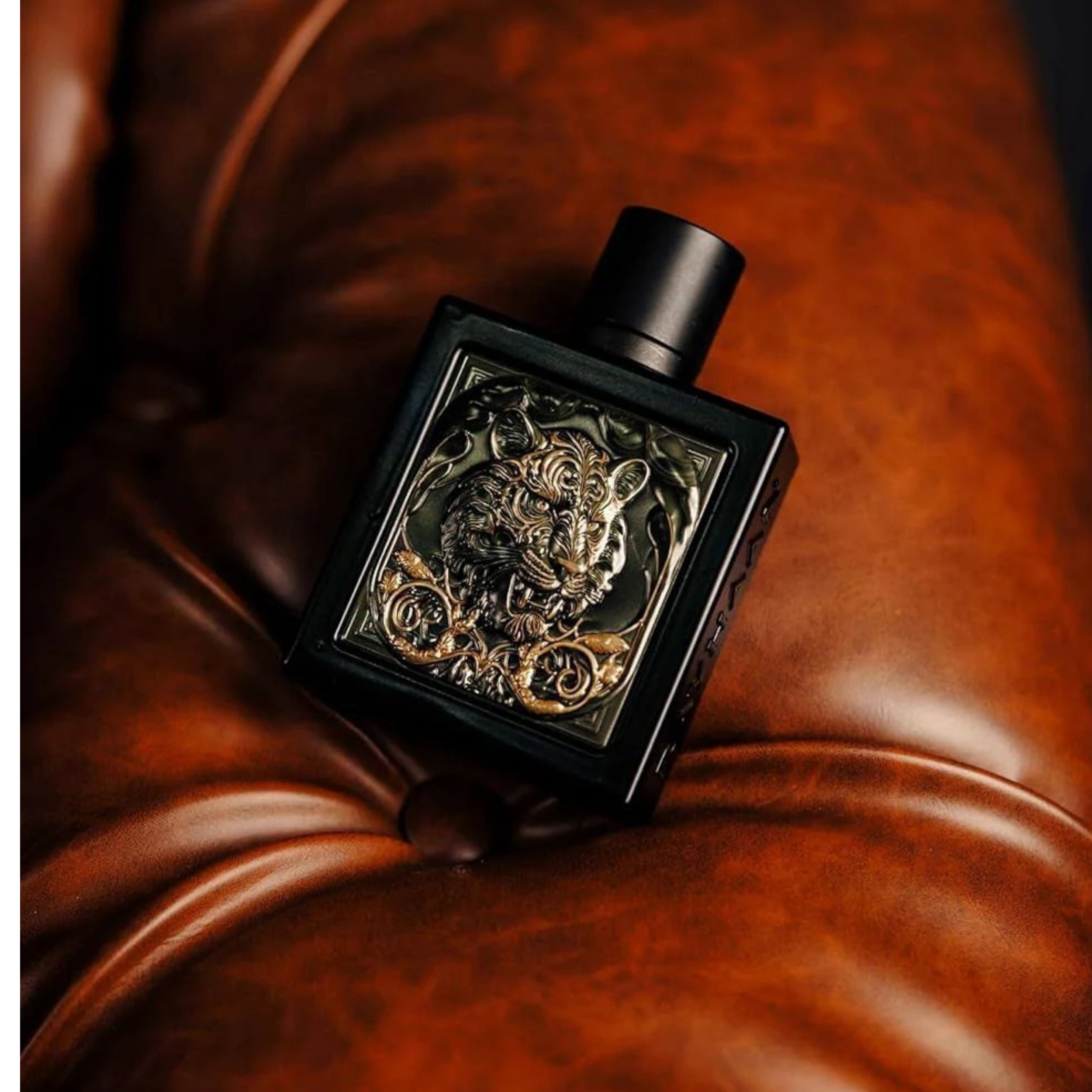Rayhaan Tiger Cal Cologne Extrait De Parfum 3.4FL.OZ | 100ML