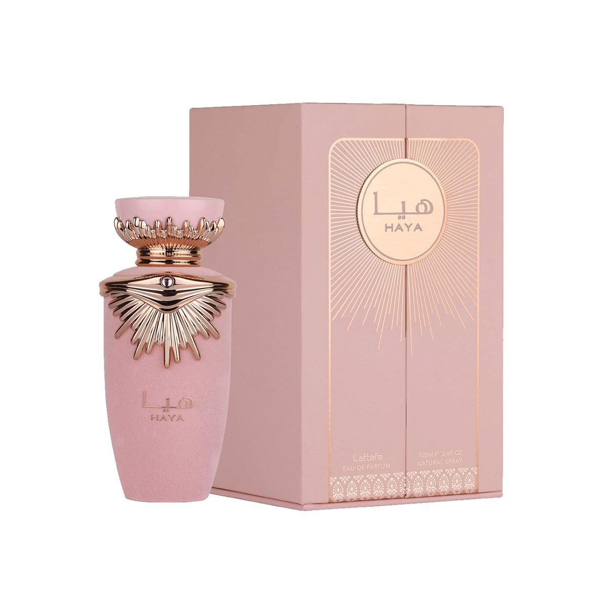 12_1b8bd24e-e690-4555-80ac-