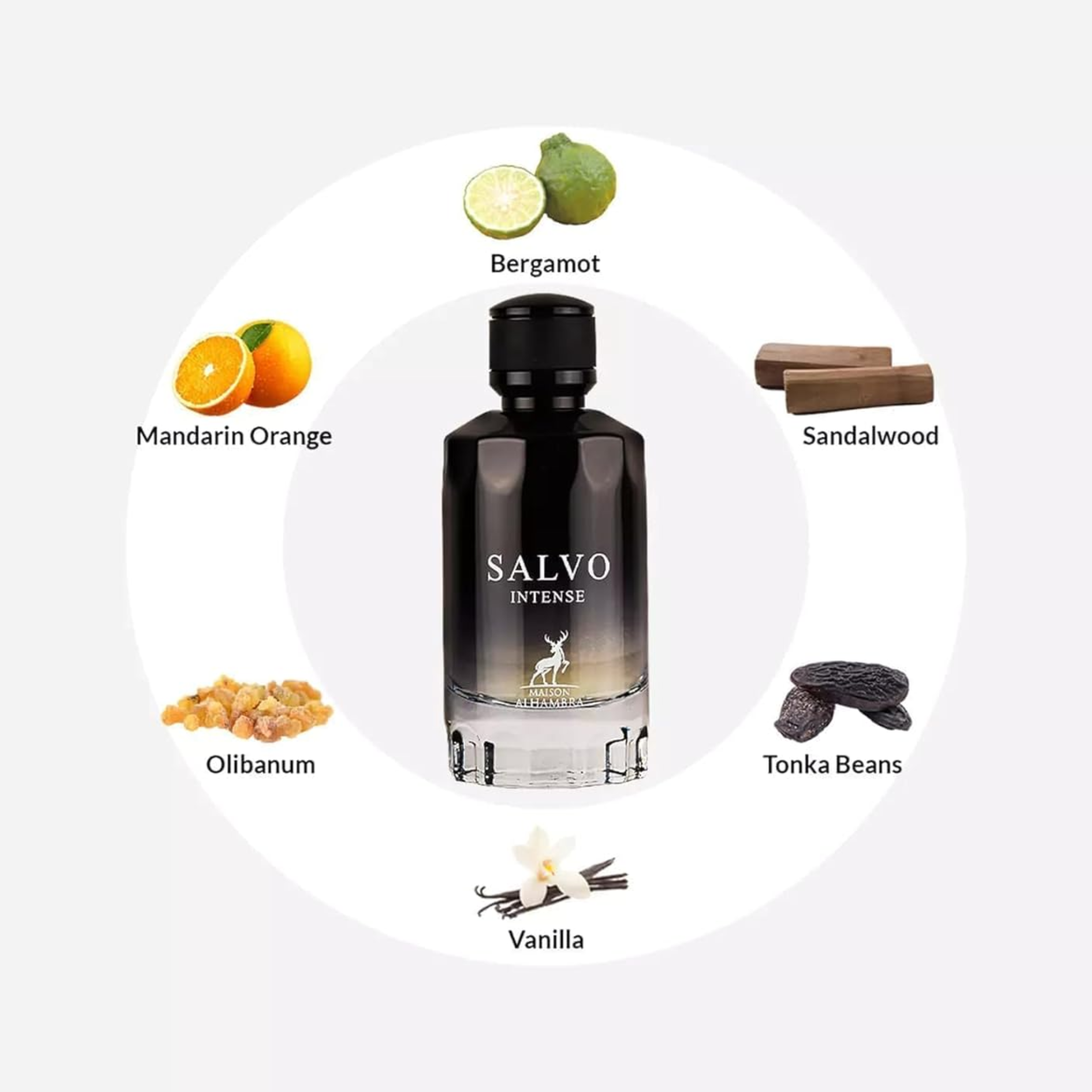 MAISON ALHAMBRA SALVO INTENSE EDP 3.4FL.OZ | 100ML