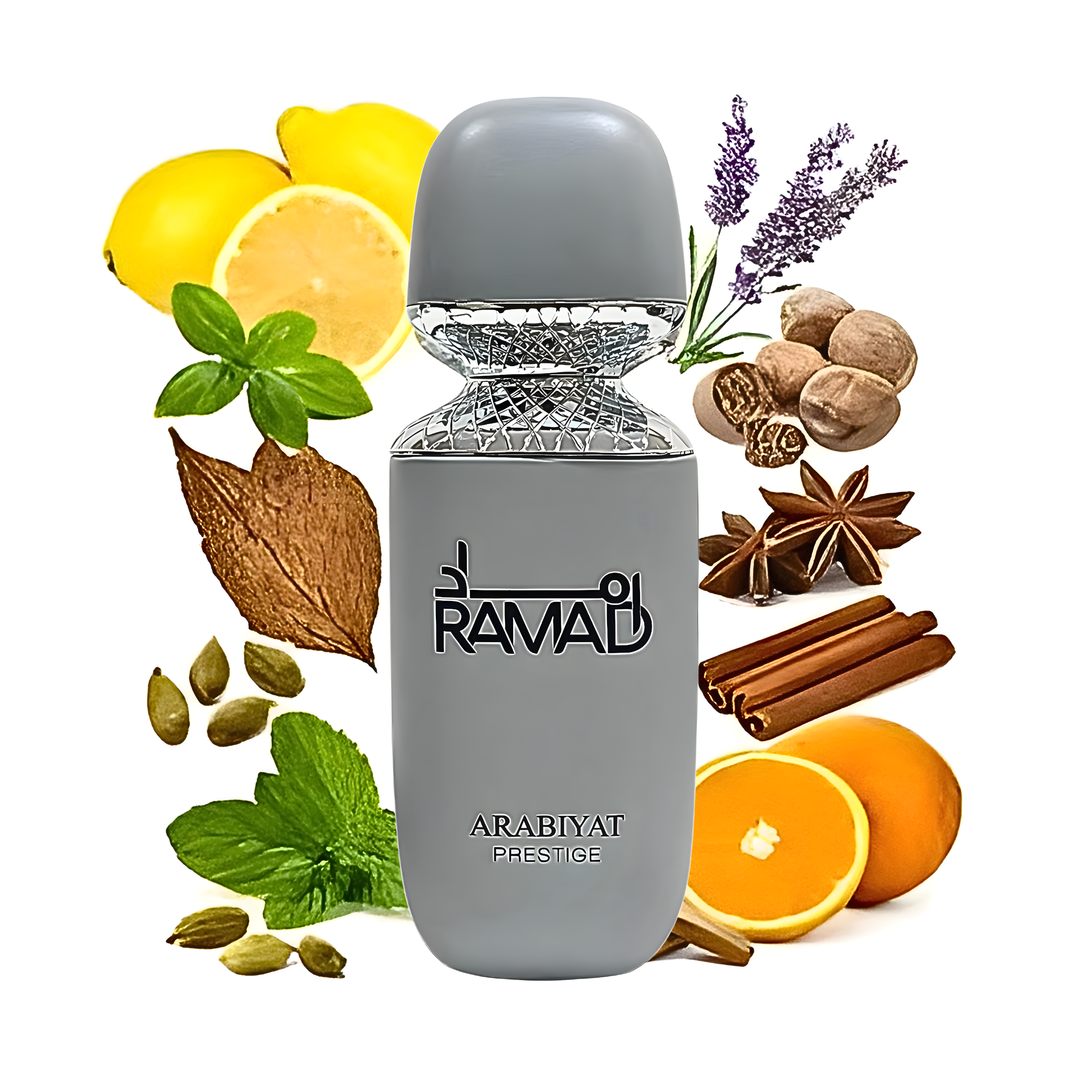 Arabiyat Prestige Ramad Eau De Parfum 3.4FL.OZ